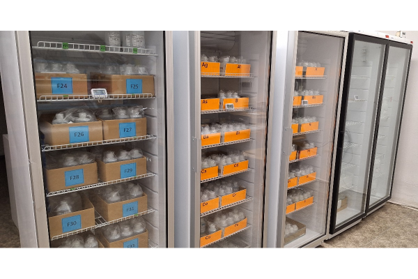 The process of preparation, measurement, and distribution of CRMs